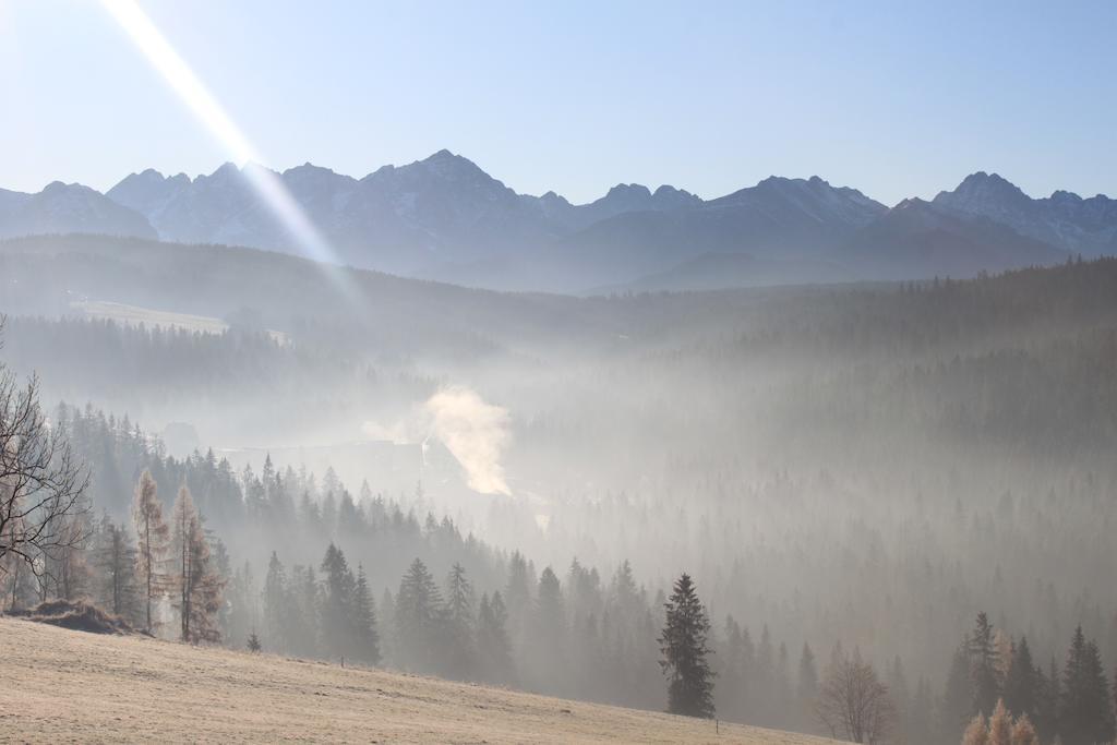 Stylowy Goralski Dom Rozetka Bukowina Tatrzańska Esterno foto